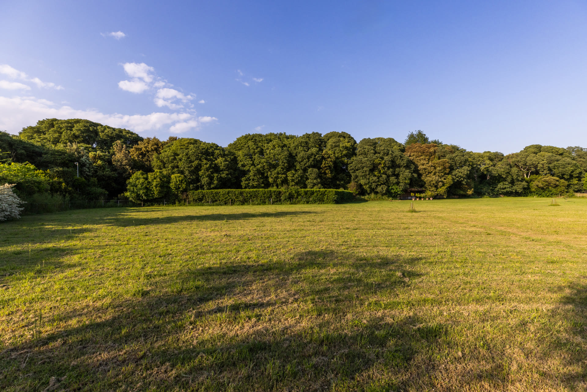 Open countryside lawn at Mas Simon