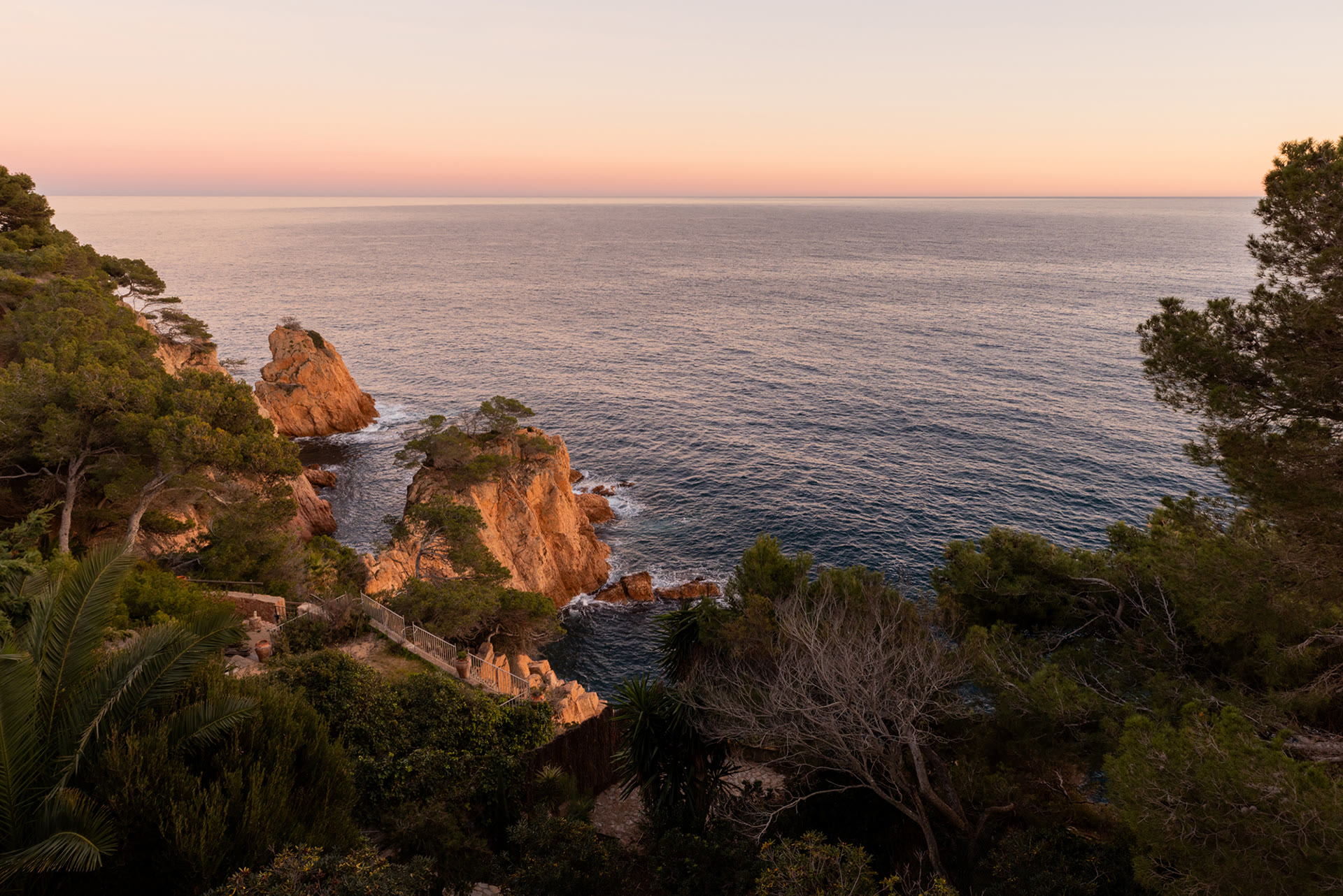 Trees above the rocky coastline at Tamariu